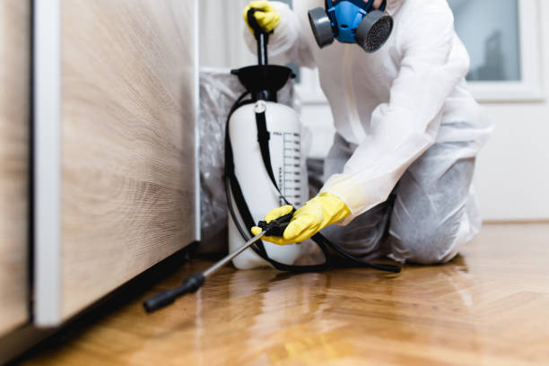 Best Pest Prevention Services  in Atlantic Beach, NY
