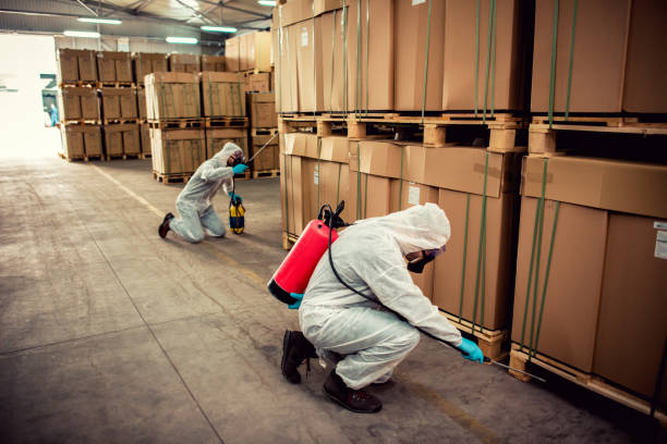 Best Affordable Pest Control Services  in Atlantic Beach, NY