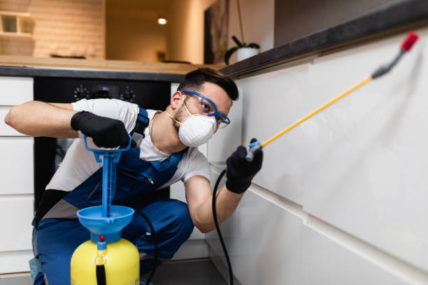 Best Bed Bug Extermination  in Atlantic Beach, NY