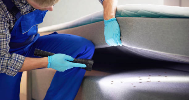 Best Rat Extermination Near Me  in Atlantic Beach, NY