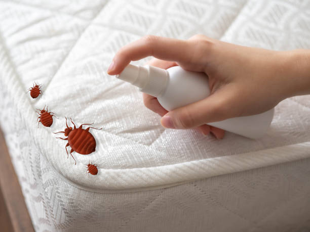 Best Best Pest Control Companies  in Atlantic Beach, NY