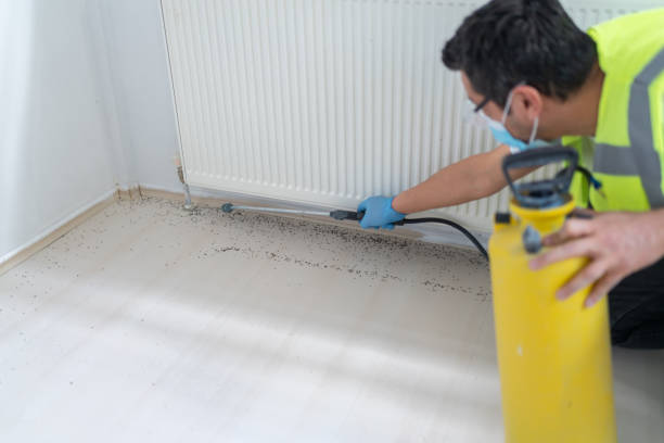 Best Pest Prevention Services  in Atlantic Beach, NY